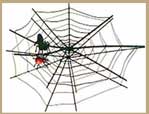 Spider and web drawing