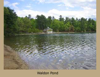 Waldon Pond